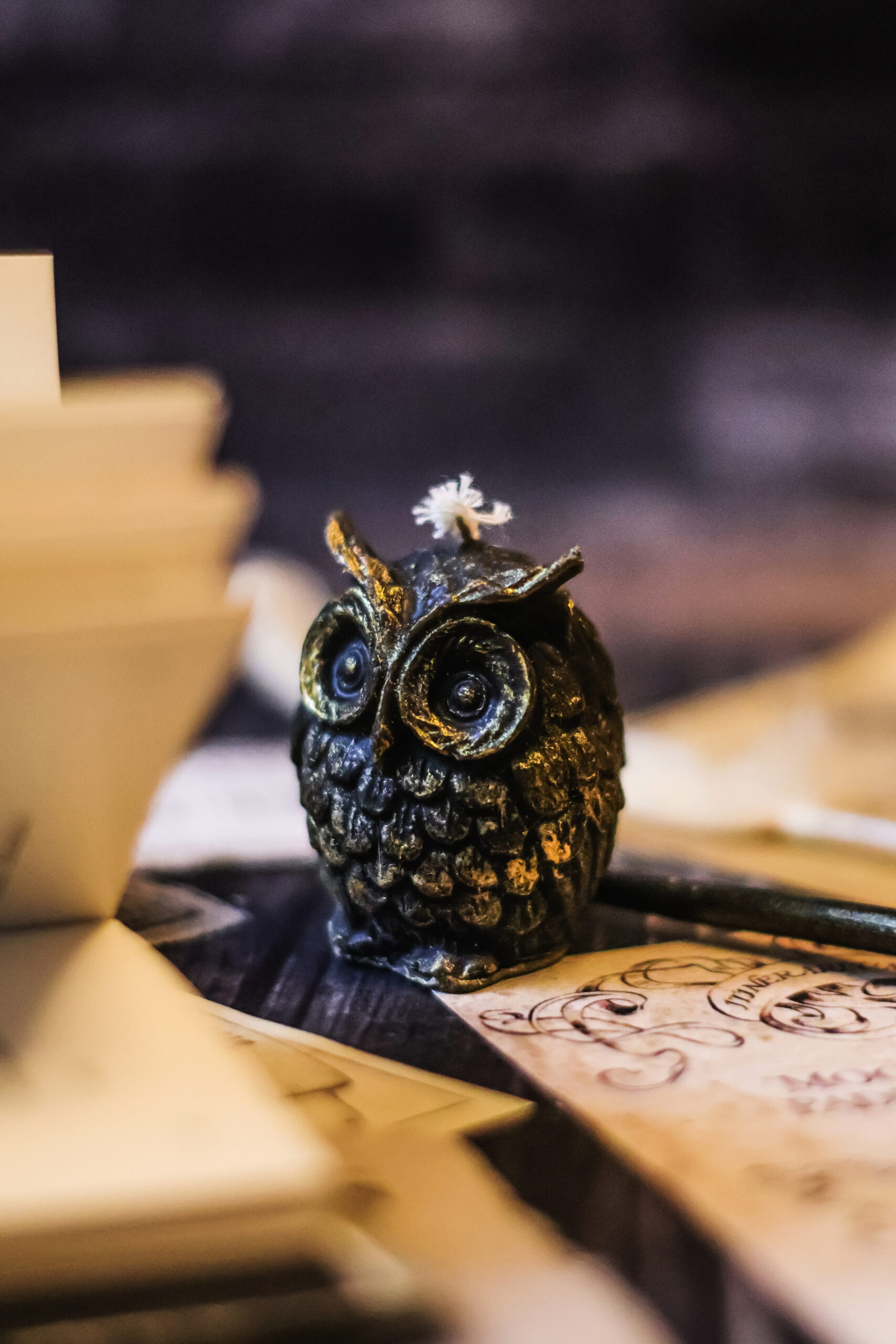 Processed with VSCO with 4 preset Сова міні - Зображення 1