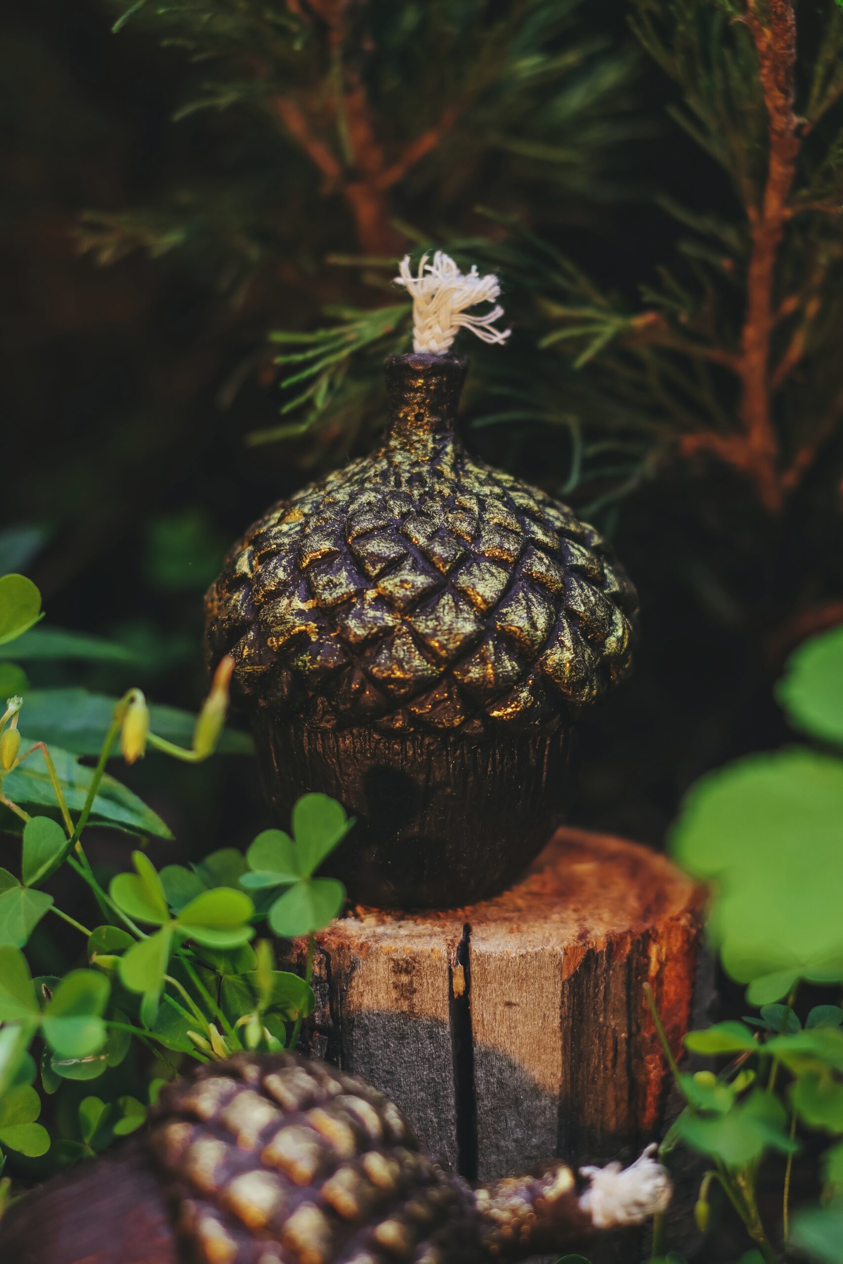 Processed with VSCO with 4 preset Жолудь - Зображення 1